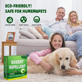 Fly medicine(复制)