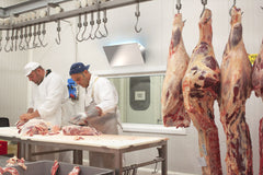 Household Stainless Steel Mosquito Trap Lamp (OEM&ODM) BXG07