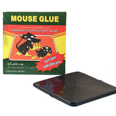 Mouse Sticky Board 3