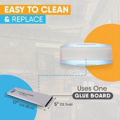 Stainless steel mosquito trap (OEM&ODM) BXG19