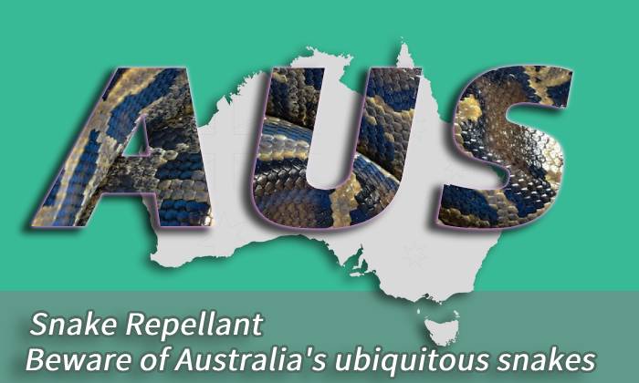 Snake Repellant | Beware of Australia's ubiquitous snakes