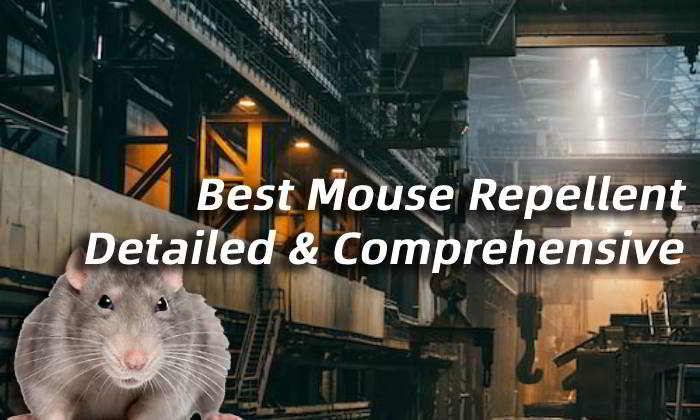 Best Mouse Repellent: 3 Major Aspects | Detailed & Comprehensive