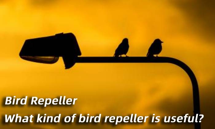 3 Methods - What kind of bird repeller is useful?