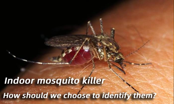 Indoor mosquito killer， how should we choose to identify them?