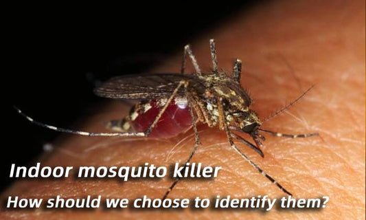 Indoor mosquito killer， how should we choose to identify them?