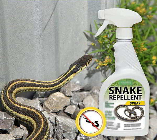 Still Using Only Snake Repellent Spray? Try Sonic Repellent Instead!