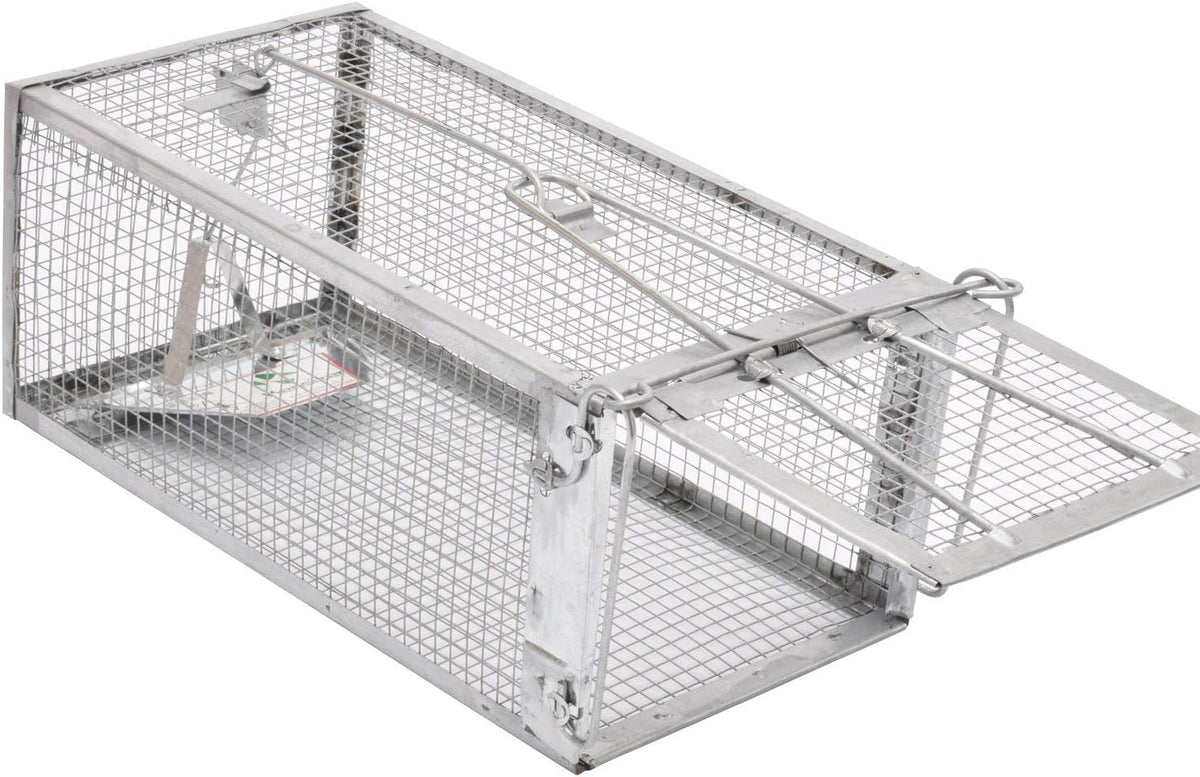 Animal Humane Live Cage Trap That Work for Rat Mouse Chipmunk Mice Voles Hamsters and Other Small Rodents, Trampa para Ratones, Catch and Release 1Pack Medium