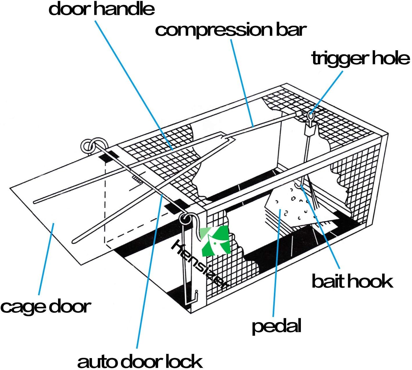 Animal Humane Live Cage Trap That Work for Rat Mouse Chipmunk Mice Voles Hamsters and Other Small Rodents, Trampa para Ratones, Catch and Release 1Pack Medium