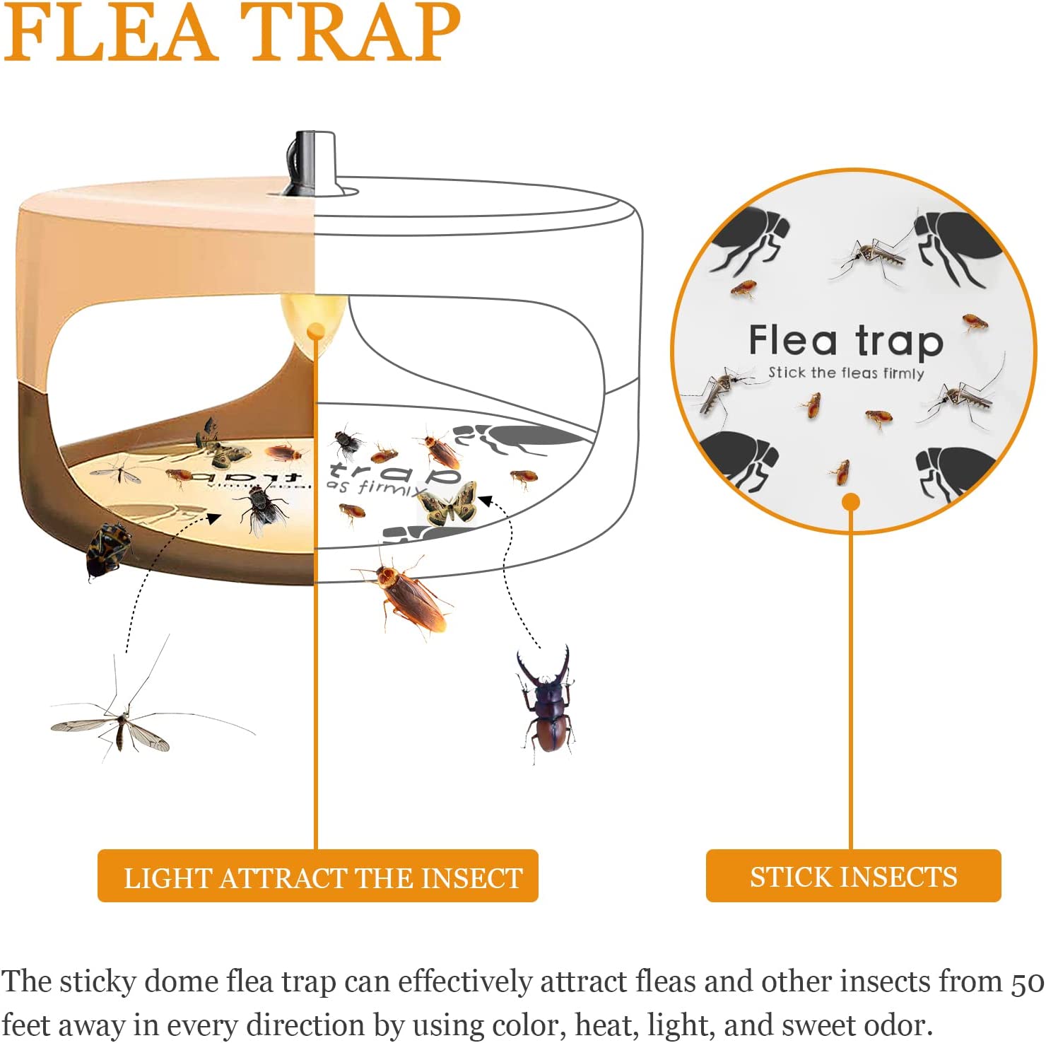 Fruit fly and cicada trap lights 02