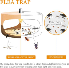 Fruit fly and cicada trap lights 02