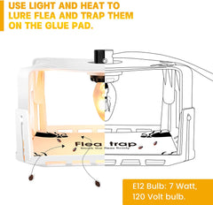 Fruit fly and cicada trap lights 04