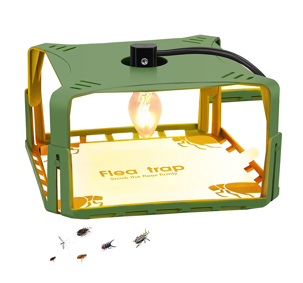 Fruit fly and cicada trap lights 03