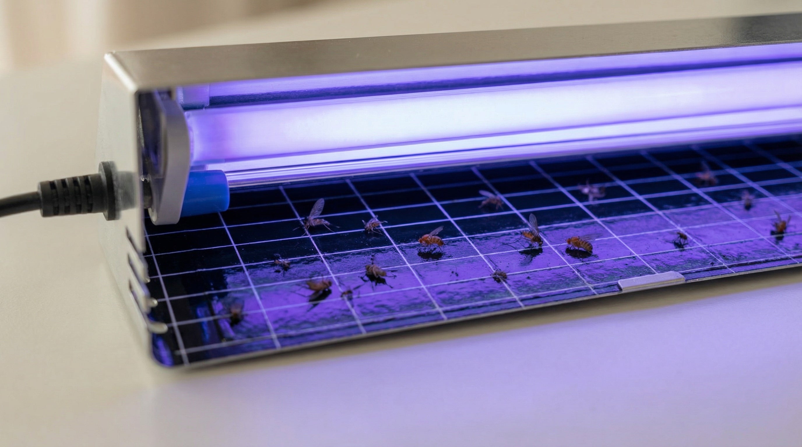 Wall-mounted Stainless Steel Mosquito Trap Lamp, Special for Restaurants & Hotels, Efficient Mosquito & Fly Killer (OEM&ODM) U12