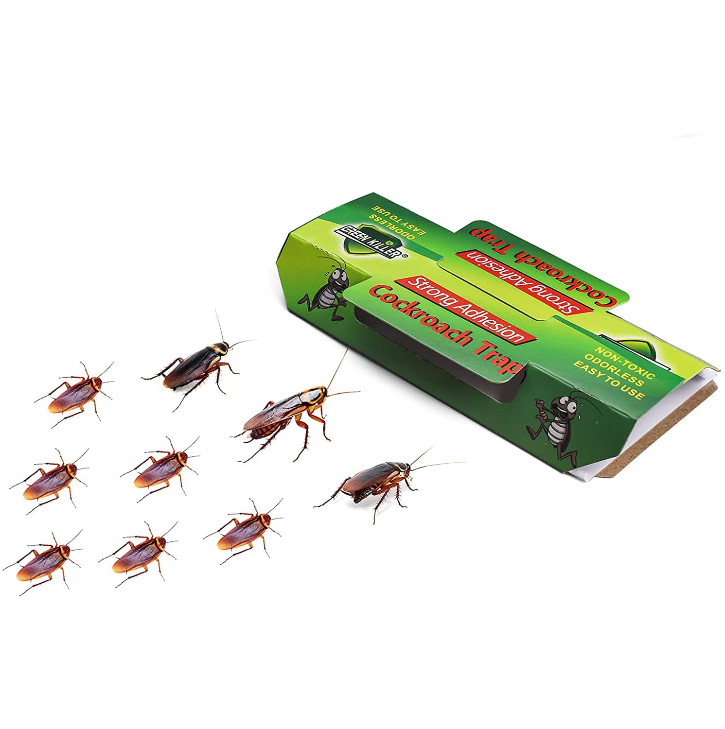 Cockroach Sticker Trap